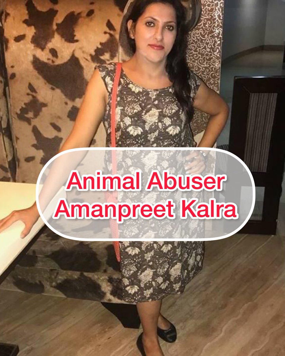Daljeet_Sahi_1's tweet photo. A lady Amanpreet Kalra from #karnal Model Town area dumped a pregnant dog on NH1 highway &amp; now she also threatening us that she will throw more dogs like this. So I request to @PoliceKarnal please help us to find that pregnant dog and also save the more dogs from death like this https://t.co/llP7RPNA2o