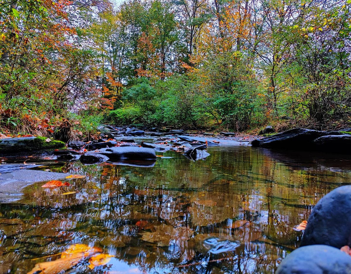 kenzMacDuffie's tweet photo. What is your favorite part about Autumn?
 😁

☕🥯🍜

#nature #fridayvibes #saturdayknight #peace #photography https://t.co/KodsEWuieu