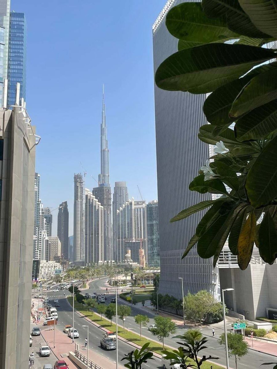 networkbridging's tweet photo. If you missed October Dubai 2021 Blockchain Week, here are a few highlights from https://t.co/8VpxXTlViz
#defi #dubai #blockchain #cryptocurrency #bridgingnetworks https://t.co/U6fO8XvXWa