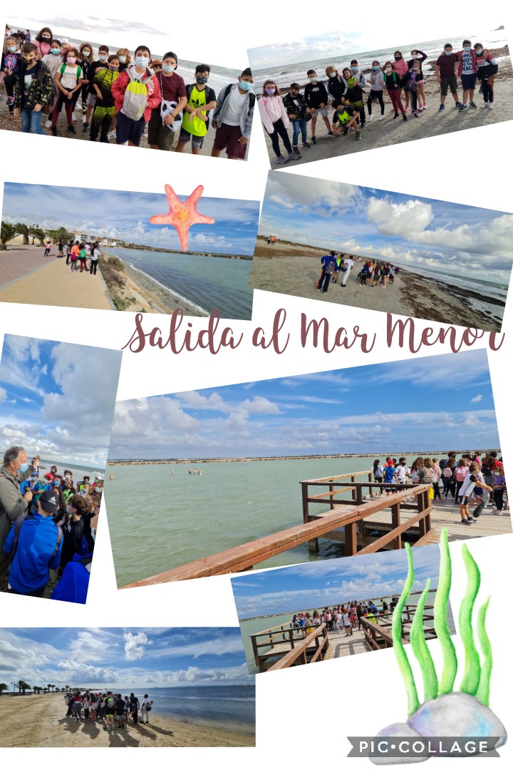 CeipMadre's tweet photo. El lunes, 11 de octubre, el alumnado de segundo tramo realizó una visita al Mar Menor con nuestros amigos de EcoAmbiental dentro de el Proyecto de centro que estamos desarrollando este curso sobre el cuidado de mares y océanos 🌊 @Educarm @RmAdeip @jesuspellicer @ProgramasRM https://t.co/5WliGnD0jP