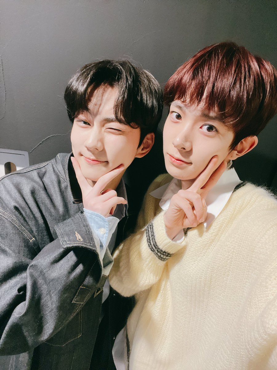 비B도D리X베B tweet media