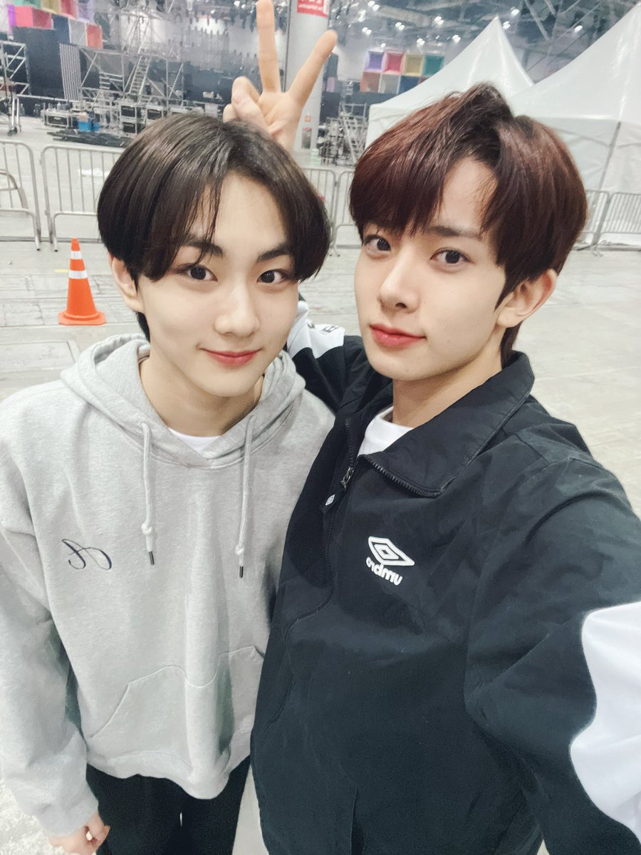 비B도D리X베B tweet media