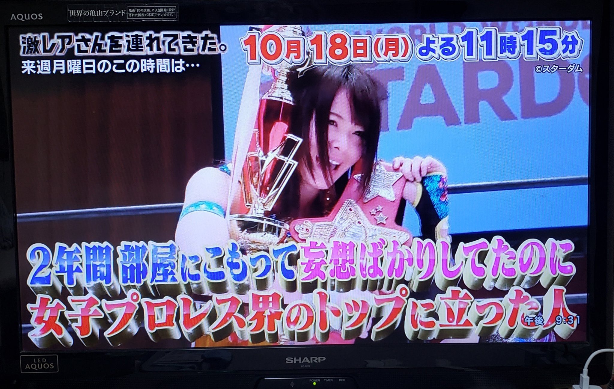 激レア シャープテレビデオ 【公式通販】