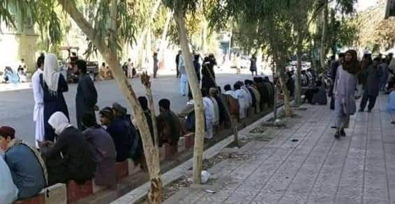 ZiaulhaqAmarkhi's tweet photo. کندهار😭
تو خون شیعه را می‌ریزی!
منِ سنی برایش خ♥️ون می‌دهم!
درد و غم شیعه، درد و غم سنی است. ما همه یکی هستیم و افغانستان خانه‌ی مشترک همه‌ی ماست. https://t.co/YSqdl8FG10