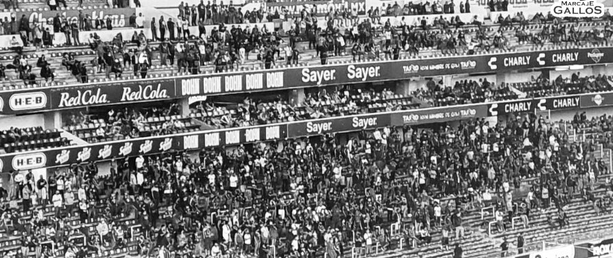Su canto interminable, su apoyo incondicional, su unión entrañable y el amor desbordado por estos colores son sin duda,para mi, la mejor representación de lo que un Gallo debe de ser.  🔵⚫️