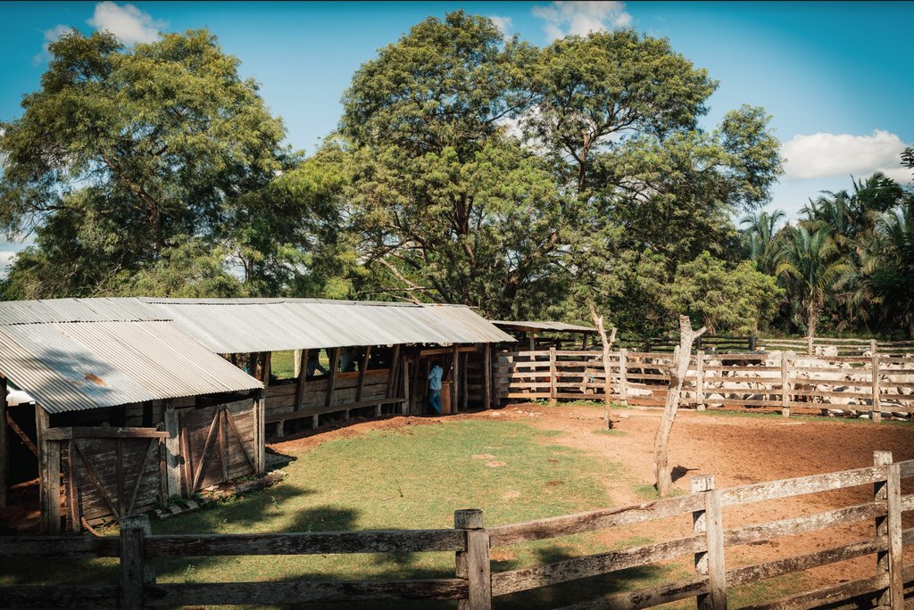 Finka Token is a pioneering digital asset, entitling token holders to their share of the Net Operating Revenue of the La Pradera cattle ranch. 

✅La Pradera has been cash positive for the last 20 years
✅The expected returns are 4-8%, year on year

Purchase your tokens today!