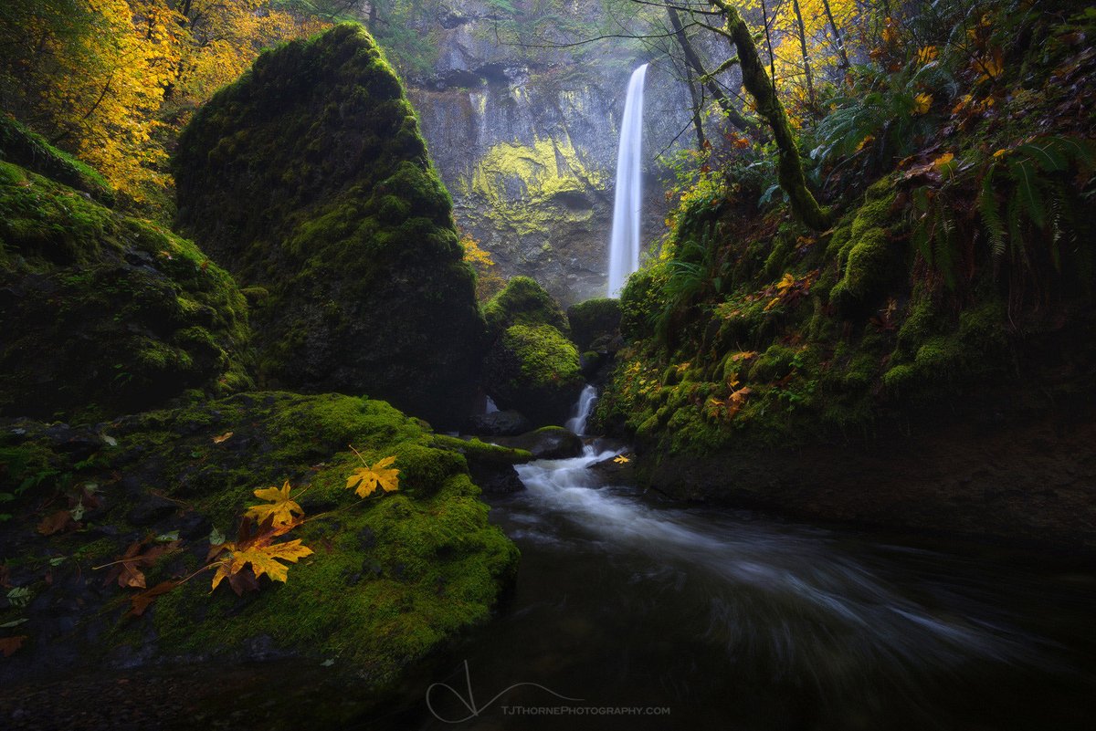 tjthorne_photo's tweet photo. Gm. 

Do something nice for someone today. Even if it’s small. The world needs it. 

I hope everyone has a great day. I’m off tromping through the forest with clients for the next three days and will miss a lot of the happenings here. 

Here’s a fairly old photo of mine. https://t.co/sLKtejT1wU