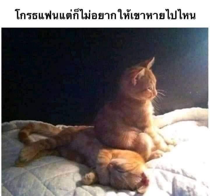 nnnestz's tweet image. 😂