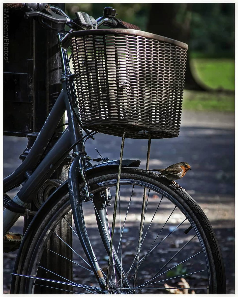 AHenryPhoto's tweet photo. On yer bike wee man! 🚲

Spotted on my lunchtime dander.

📍Ormeau Park

@wearetrekni @ThePhotoHour @LensAreLive @BelfastHourNI @PicPublic @DiscoverNI @TourismIreland #photography #streetphotography #urban https://t.co/oISyyXKdG6