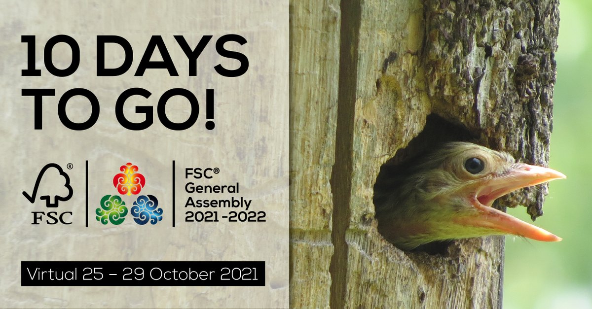 FSC_IC's tweet photo. Attention FSC Members! Join the FSC Virtual General Assembly to learn, connect, and collaborate. Register here for 25-29 October and have your voice heard on matters concerning the world’s forests: https://t.co/ngmeyyP3J2
#FSCGA #FSCGA2021 https://t.co/yN9tkV7U31