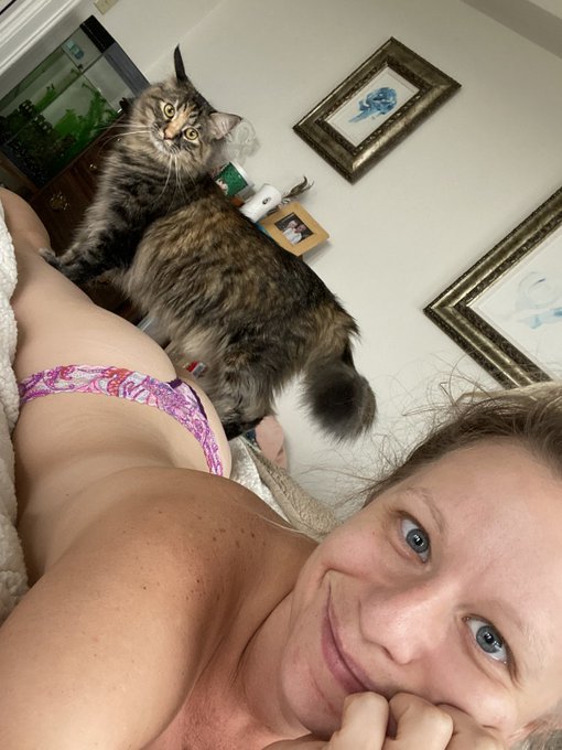 This is generally how my mornings start. With a lesbian pussy purring at my legs! 😩 https://t.co/c3W<a href="/tag/momskitchen"class="tags"><span>#momskitchen</span></a>