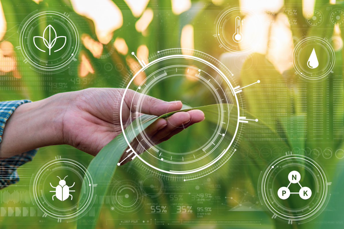 Ag needs open-source solutions to solve data interoperability challenges. New issue paper from <a href="/FarmFoundation/">Farm Foundation</a>. <a href="/MeganShahan/">Megan</a> #FarmFoundation #Agriculture #OpenSource bit.ly/3iAj3QN