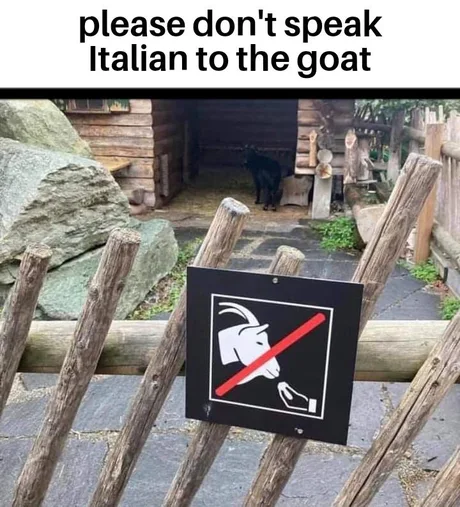 FBvrqadXEAAVpmd