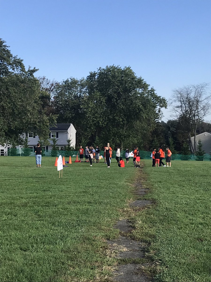 Traci Attardi Shaw tweet media