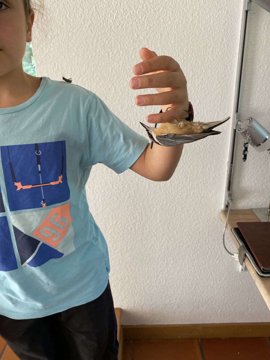 Docteur V tweet media