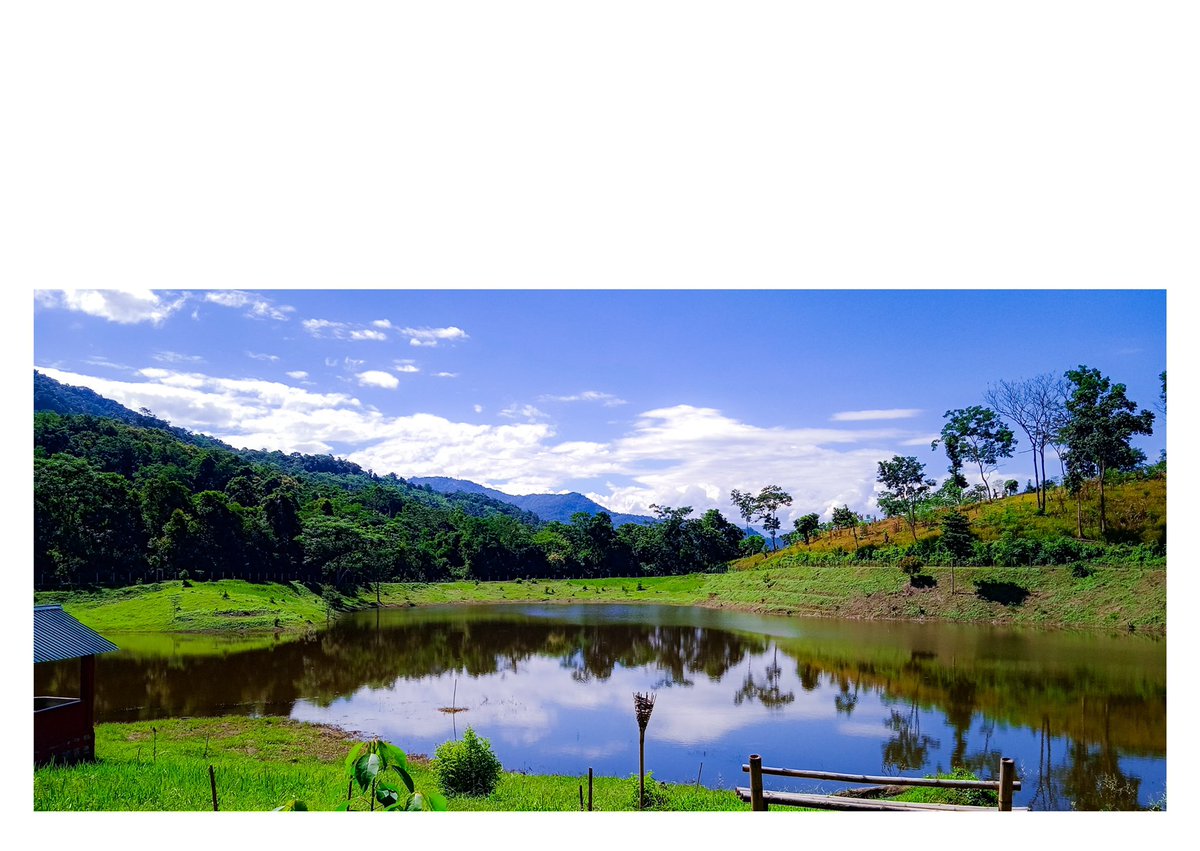 ILoveTseminyu's tweet photo. Nsonji Lake, Sendenyu, Tseminyu.

PC : Tilo Semp

#ILoveTseminyu #Tseminyu #Rengma #Naga #TogetherWeCan #KnowAboutUs #ShareYourStory #NorthEast #Tribal #Vocal4Local https://t.co/rwkPIc65d1