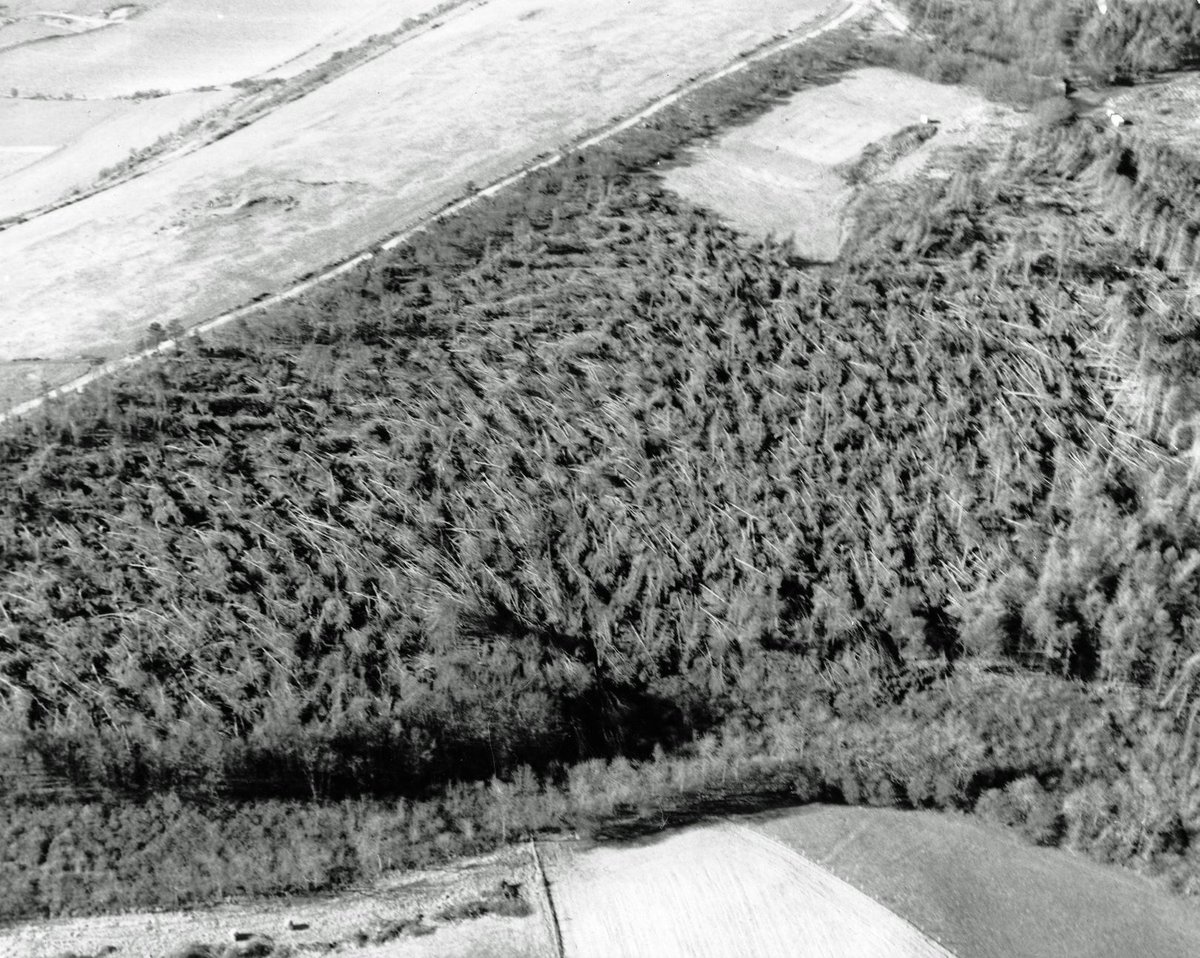 IOWarchaeology's tweet photo. What were you doing #otd October 15-16 1987 when the Great Storm hit the #IsleofWight overnight? Shanklin Pier was virtually destroyed and thousands of trees were uprooted. From the #HistoricEnvironmentRecord archive here is an aerial photo of the damage in Brighstone Forest. https://t.co/CZNugmVXXa