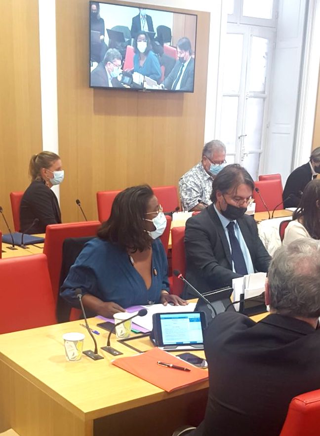 Justine_BENIN's tweet photo. J'ai déposé 2 amendements pour la gratuité des tests en outre-mer dans le PJL #VigilanceSanitaire . L'un a été déclaré irrecevable mais j'ai pu défendre l'autre en commission des Lois à l'Assemblée nationale ce matin. @olivierveran #guadeloupe #outremer #testpayant https://t.co/w1L5nqlZlK