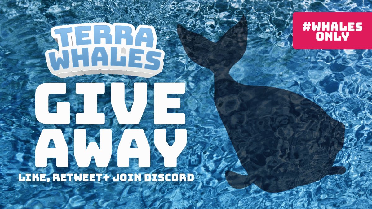 whalesonlyNFT's tweet image. 🎉🐳 ⏰ We are 48 hours away from another Terrawhale Giveaway! Here is your chance to get a unique, hand-made 1 of 1,000 Terrawhale! 🐳🤌#whalesonly

Like/retweet this post and join our Discord for your chance to win! 

$LUNA $UST #LunaNFT #LUNAtics #NFTGiveaway #NFTGiveaways