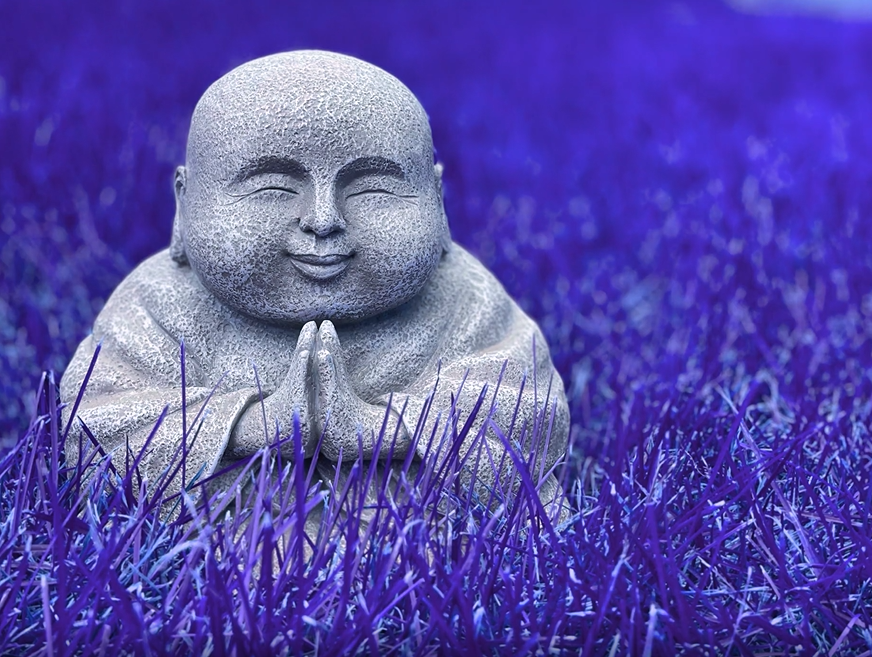 _happybuddha's tweet photo. I have 12 of each of these FREE Funky Buddha NFTs left, which one will "sell out" first? 

https://t.co/I9mfwq1L4z
https://t.co/hAK2DVrHCT https://t.co/I7fJjLO1FI