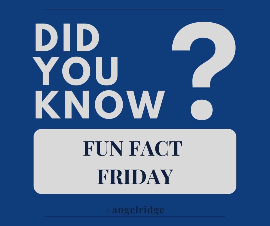 ARPconstruction's tweet image. ⒻⓊⓃ ⒻⒶⒸⓉ ⒻⓇⒾⒹⒶⓎ
Drones are being used by 37% of construction firms.
*Drone experimentation provides a better perspective on large-scale projects. Drone imagery can also be combined with 3D modeling to help compare progress and identify potential obstacles.