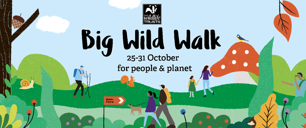 stem4sussex's tweet photo. Want something worthwhile to do during #HalfTerm? Sign up to take part in @WildlifeTrusts FREE #BigWildWalk &amp; do your walk wherever takes your fancy. Visit: https://t.co/YoNZBxBBUq #SussexSchools #Students #Teachers #STEM #Nature #Family #Fun https://t.co/p3w0LWn4dw