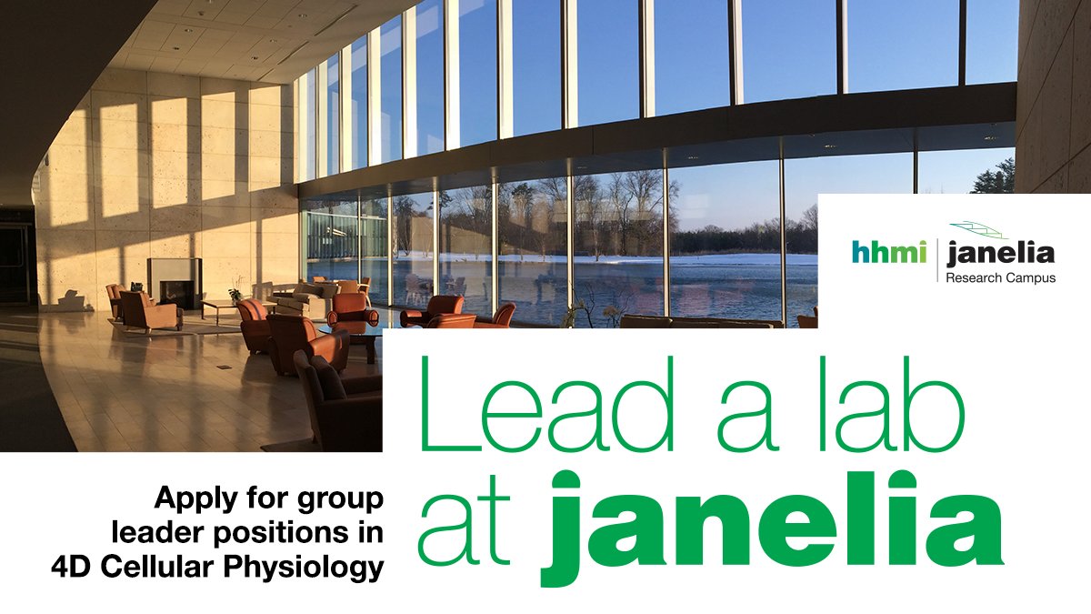 HHMIJanelia's tweet photo. DYK you don't need a postdoc to apply for our group leader positions? If you are a late-stage graduate student in cell biology, physiology, biophysics, or anatomy, consider applying to lead a lab in 4D Cellular Physiology.
Learn more at https://t.co/1O1eNpSyqr https://t.co/K19TKrpjPC