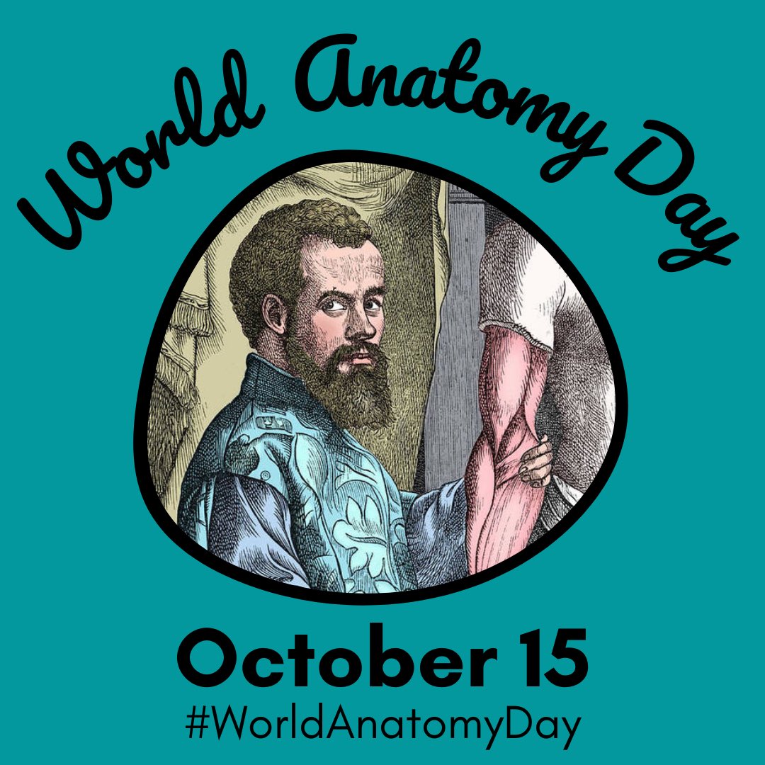 Anatomic Events Calendar tweet media