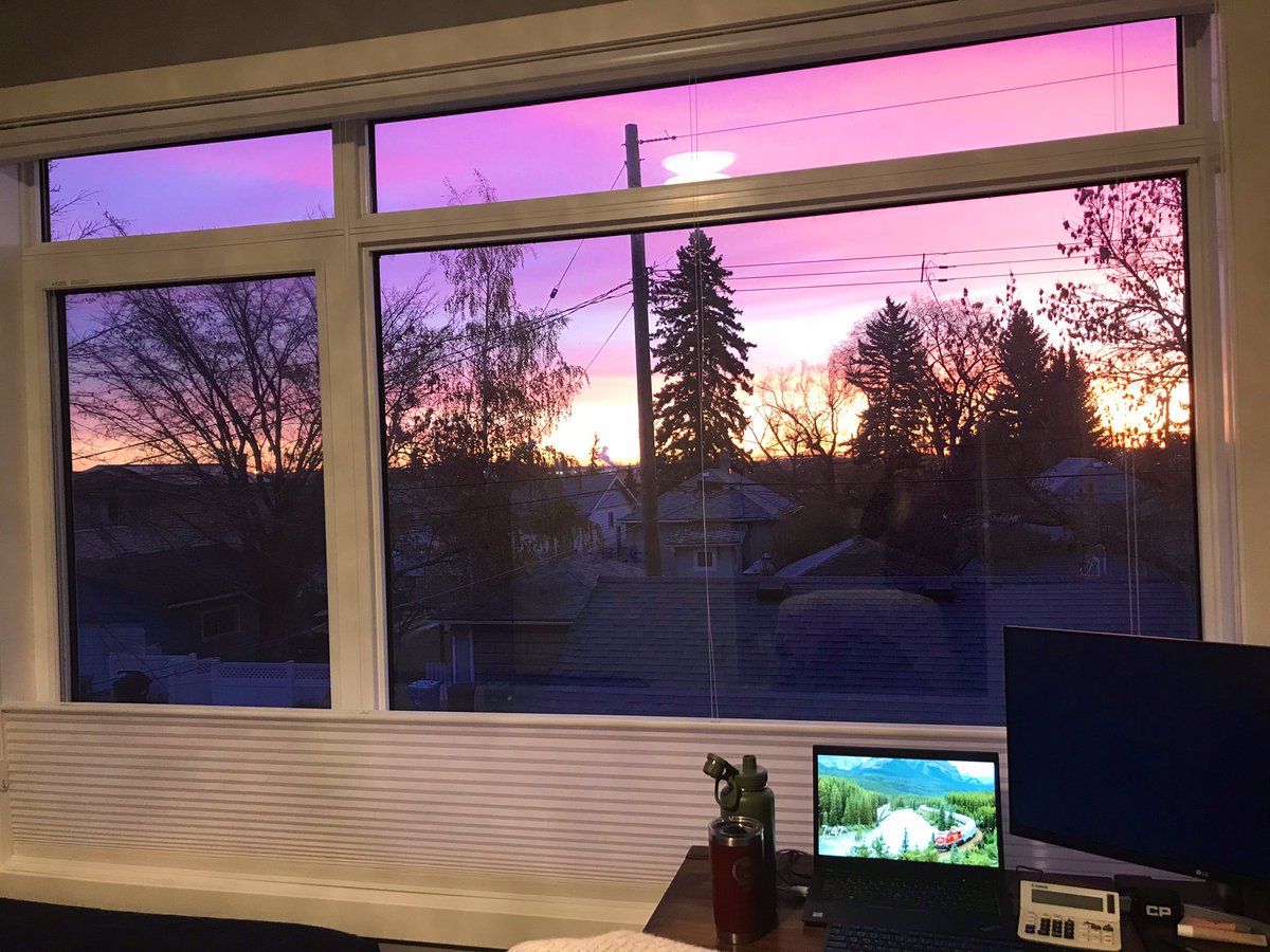 Allison Vos tweet media