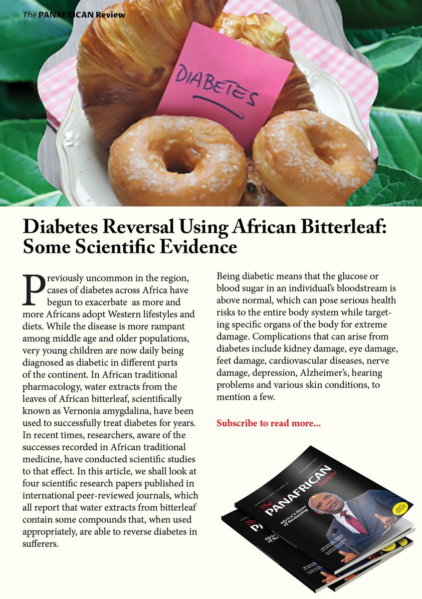 FezaUmuhireRw's tweet photo. #Africa #Health
"African traditional medicine’s age-old use of the extracts of Vernonia amygdalina in treating diabetes is only one of the numerous examples of the wealth of knowledge that lies in Africa’s indigenous knowledge system."
🖊️ @DrChikaEsiobu
#PanAfricanReviewMagazine https://t.co/cQf98l7NF7