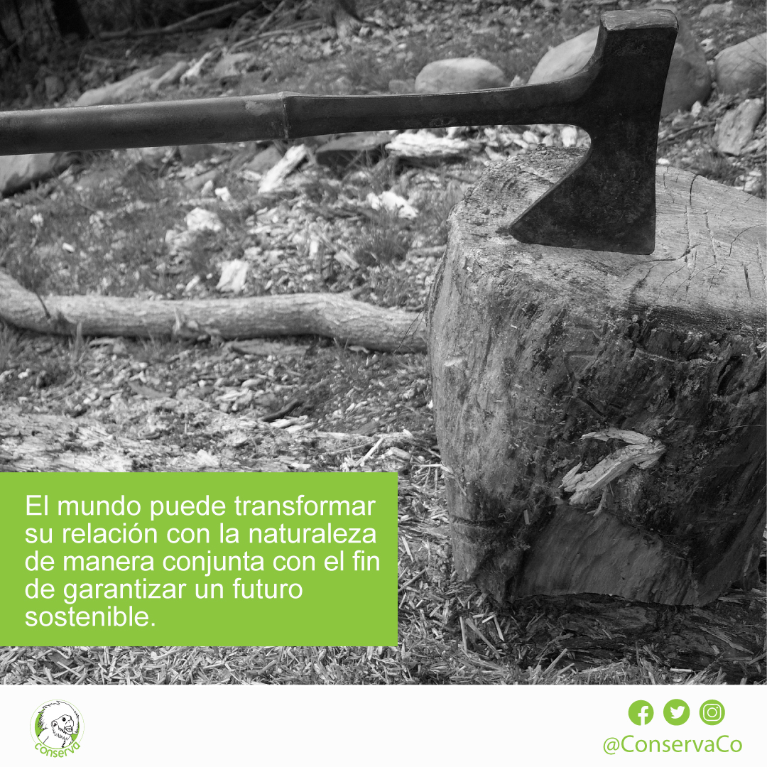 conservaco's tweet photo. Debemos transformar nuestra percepción de la naturaleza y reconocerla como una aliada indispensable. Así garantizaremos nuestra salud y bienestar como la del planeta. 

Vía @nacionesunidas 
https://t.co/R5lL0GSgre 

#CrisisClimatica #Biodiversidad #DiversidadColombiana https://t.co/zlXU7rbbbC