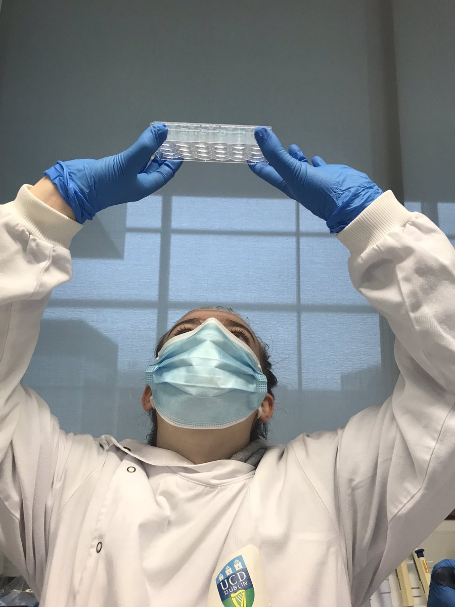 Tara McMorrow, PhD (@mcmorrowtara) on Twitter photo And it’s bye from TY students. Hopefully we haven’t completely scared them away from science 😁🤞<a href="/ucdscience/">UCD Science</a> <a href="/Loreto_Beaufort/">Loreto High School Beaufort</a> And it’s bye from TY students. Hopefully we haven’t completely scared them away from science 😁🤞<a href="/ucdscience/">UCD Science</a> <a href="/Loreto_Beaufort/">Loreto High School Beaufort</a>