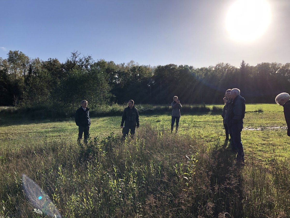 Vanmiddag de graslandvisie van @Brab_Landschap besproken met de beheercommissie in onze mooie Mortelen. O.a door variatie in abiotiek en beheer hoge natuurwaarden