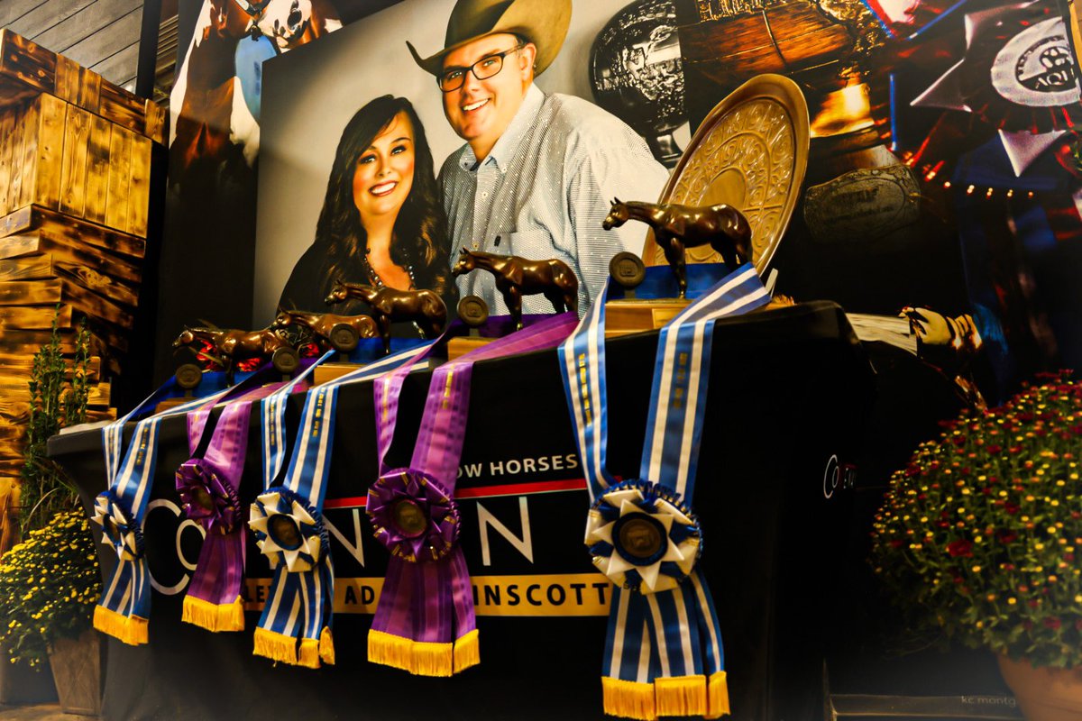 FeedDac's tweet photo. Congratulations to a few of our amazing customers on their achievements during All American Quarter Horse Congress. We couldnโt be more proud. #DACPowered https://t.co/SXW6uQyTPM