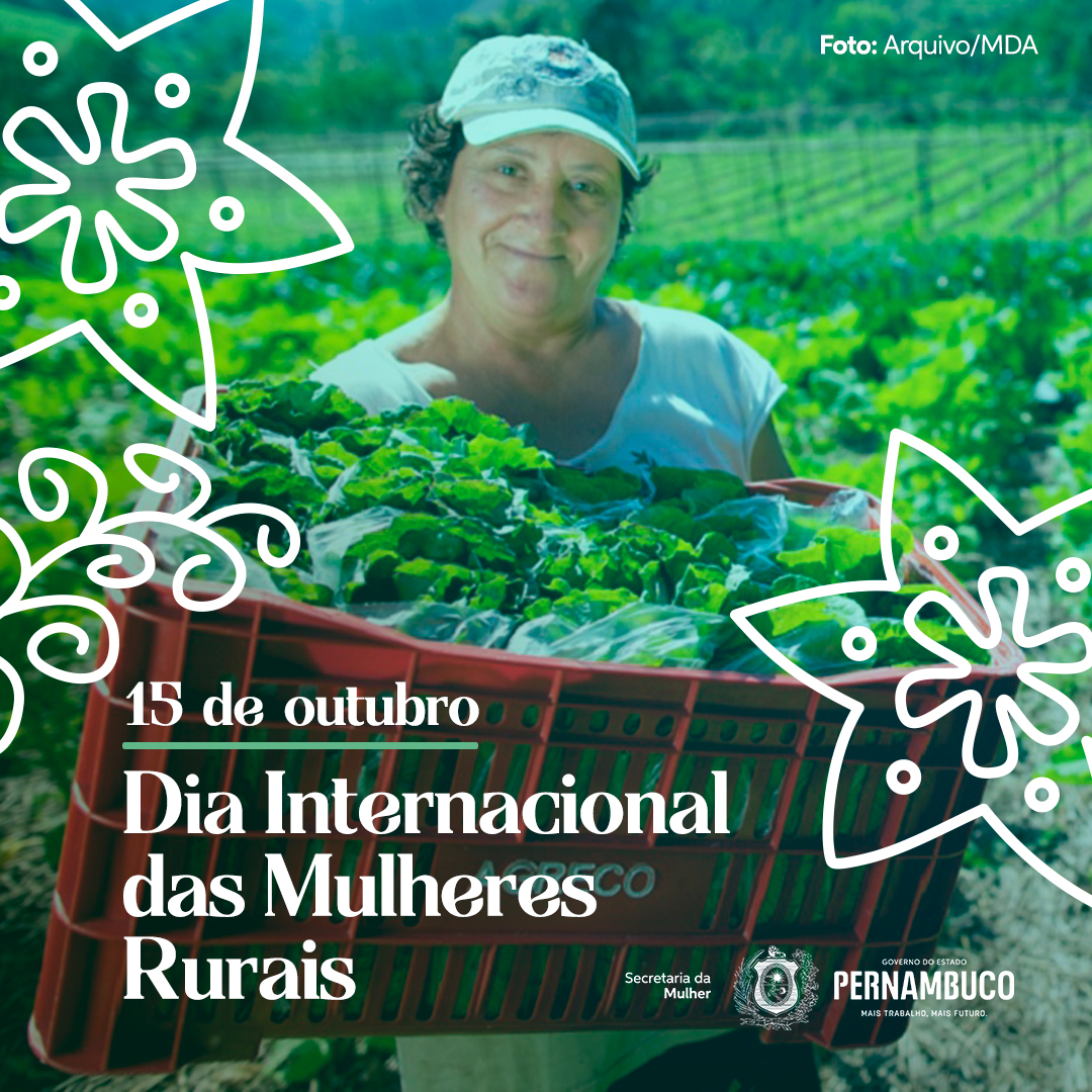Secretaria da Mulher de Pernambuco tweet media