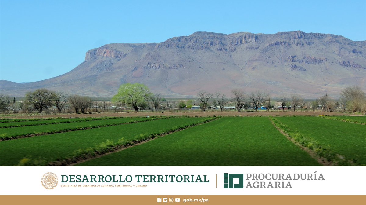 PAgraria's tweet photo. #CosechandoMetas🚜🏁
Contra #Glifosato
Como resultado del estudio-encuesta de #PA💚 y @Conacyt_MX, se activó la prueba piloto en marzo y abril de 2021, considerando un universo de 8 entidades federativas, 30 municipios, 92 núcleos agrarios y 14,168 sujetos agrarios.🗣️📝 https://t.co/UYTeNRmbdA