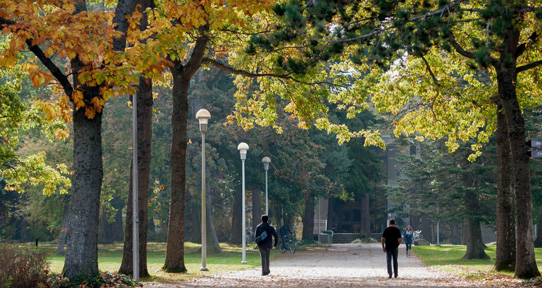 UVicJobs tweet media