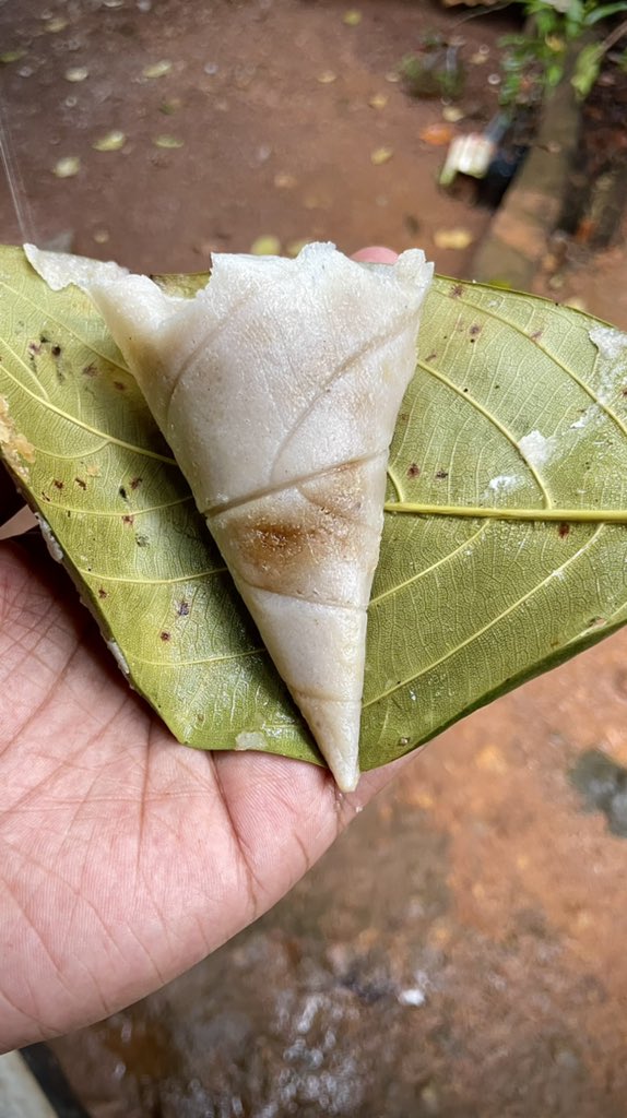 ChefTZac's tweet photo. Donne also known as Suva Bhakri is a traditional snack amongst the Velip people which is made of a rice dough shaped into a cone inside jackfruit leaves with a coconut jaggery filling and steamed. #COTRgoa https://t.co/Mh7UozCUk8