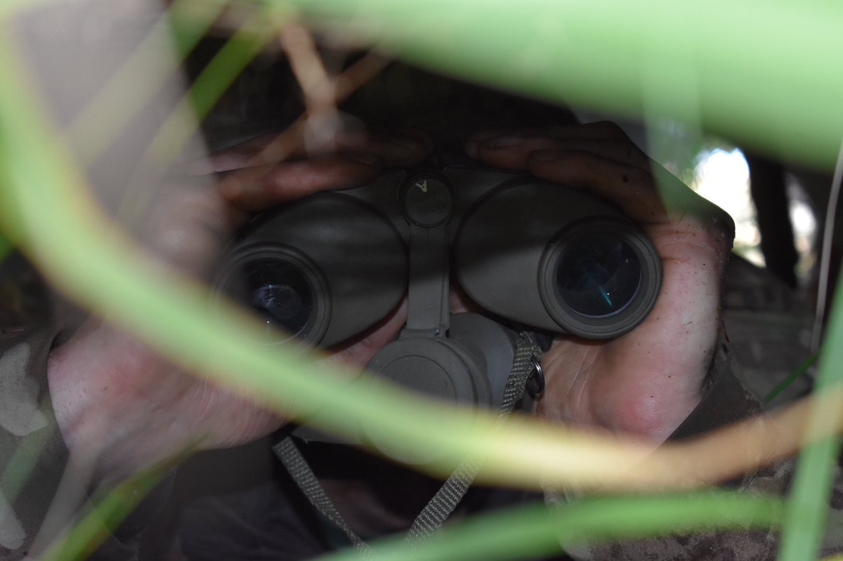 TheQOY1's tweet photo. In @TheQOY1 you will learn how to blend into your environment, to observe without being detected and provide actionable intelligence to commanders many miles away. These essential Recce skills are vital for mission success.“Time spent in Recce is seldom wasted”#RAC #Recce #LtCav https://t.co/wsej77GdsB