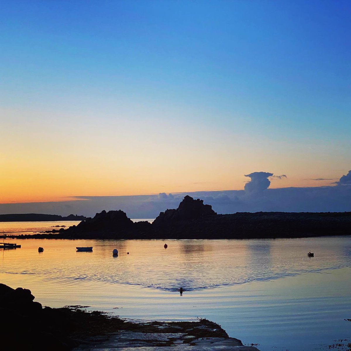 scillyniki's tweet image. Breathtakingly still tonight ❤️ Just the sounds of seals , a distant boat and us chatting (quietly) 😉