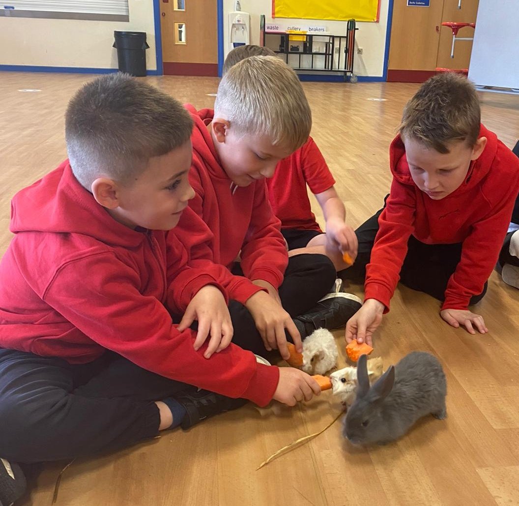 RogietPrimary's tweet photo. A very exciting visit from #AnimalsInteractive linked to our book The Owl Who Was Afraid Of The Dark.
And we got more than owls with a gorgeous wolf cub, snakes, rabbits, a skunk and more! Diolch to Alex and Paul, a wonderful experience for us all. https://t.co/PkaCXFNTyd