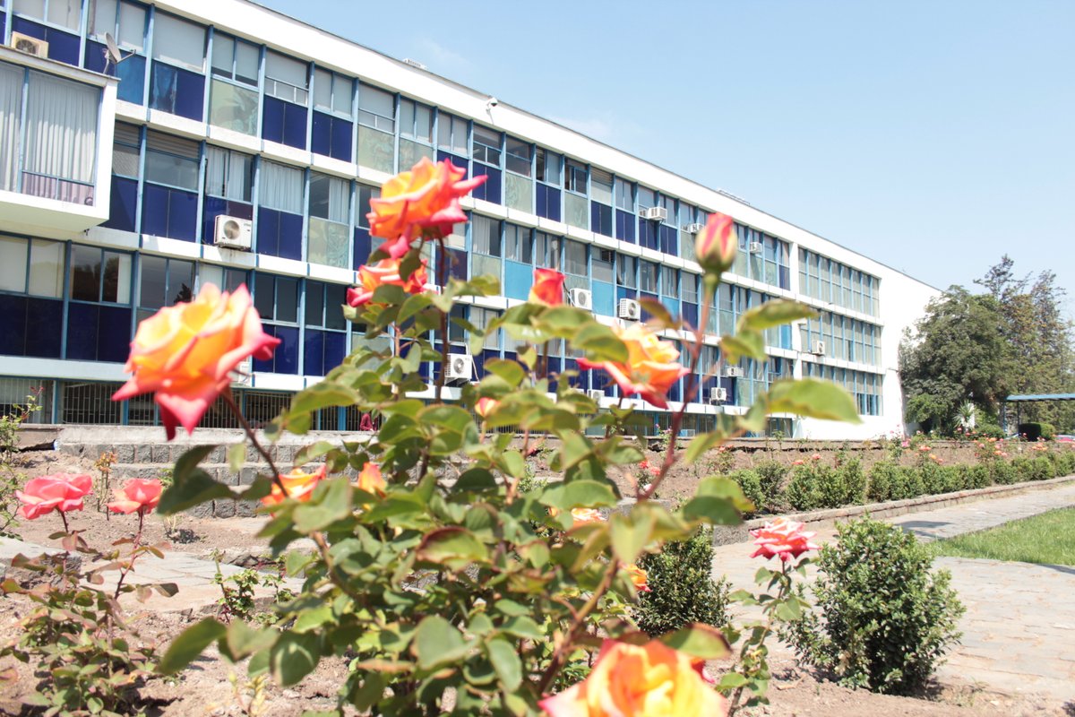 vimeusach's tweet photo. Tomando como inspiración el Patio de las Rosas de nuestra #Usach 🦁, le deseamos un feliz viernes y fin de semana a toda la comunidad 🥳
Octubre es el #MesDeLaCiencia 🧬🧪, y como #VimeUsach estaremos difundiendo y apoyando diversas iniciativas abiertas a la comunidad 👇 https://t.co/1eFMU6b8qZ