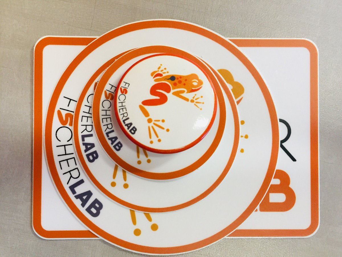 fischer lab tweet media