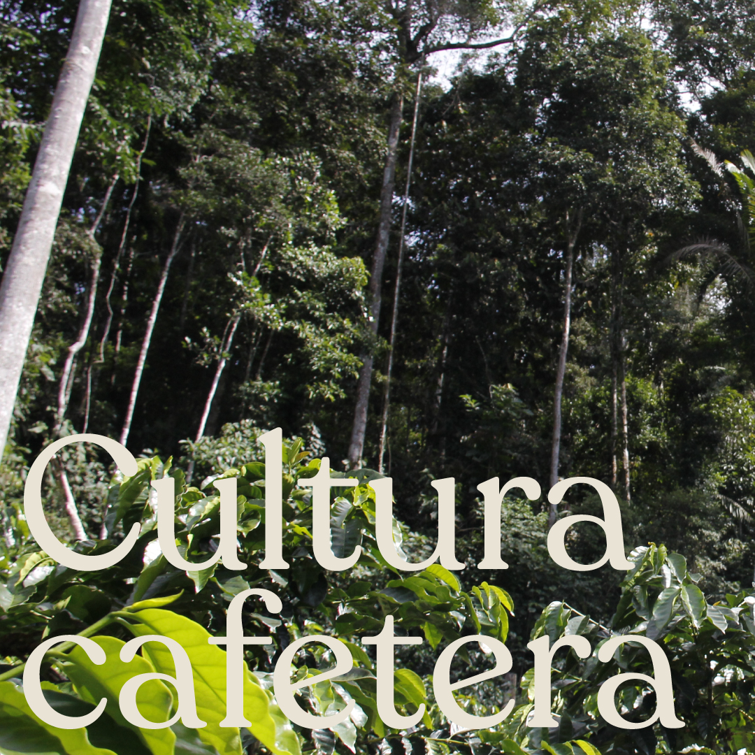 Café Conserva tweet media