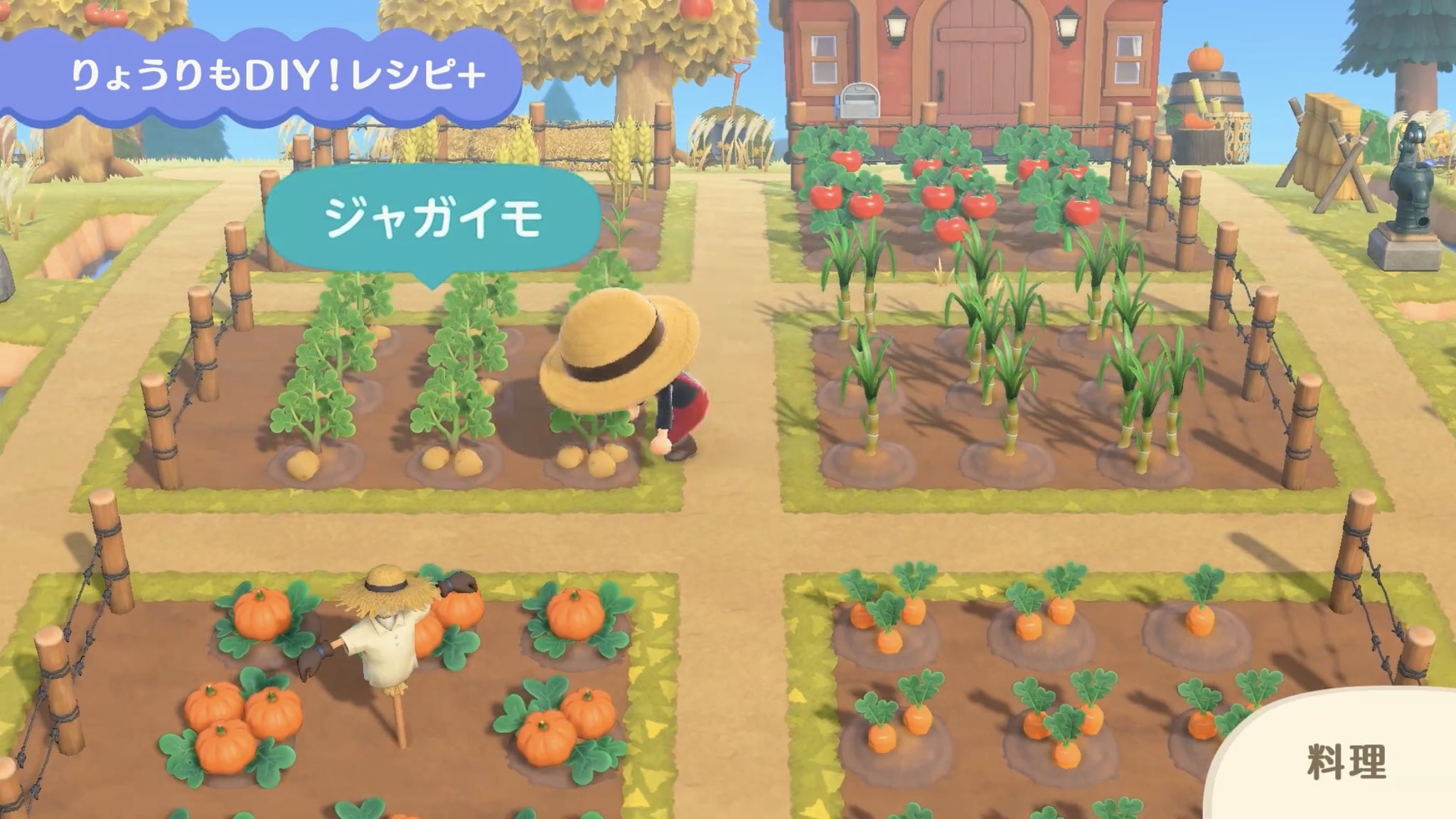 あつ森攻略 Game8 あつ森に野菜が追加 トマト コムギ サトウキビ ジャガイモ ニンジン あつ森にも栽培要素が追加されるようです 合計5種類の野菜が確認されており 過去に かぼちゃ も追加されているのでバリエーションが豊富