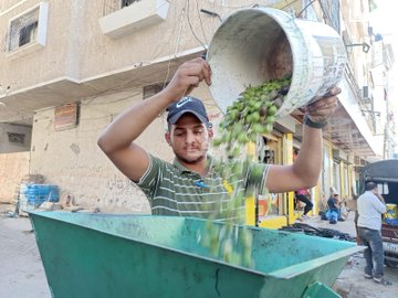 OurHeartPalest2's tweet photo. May the harvest this year and every year remind the world of the roots of this land. 
#Palestine #Gaza  #BDS
@OurHeartPalest2 https://t.co/Mjx9uOUfK8
