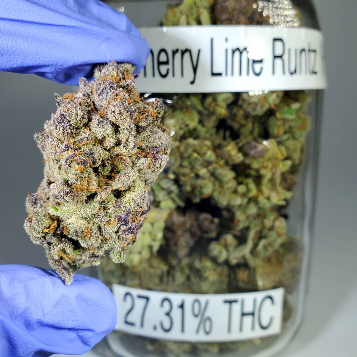 ArborSide (arborside__) Twitter