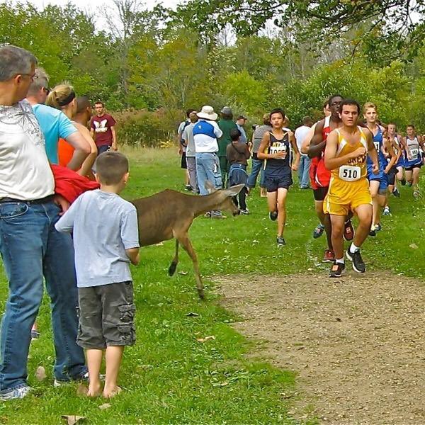 Happy Conference Weekend! Maybe we will see a deer on the course like we did a decade ago!