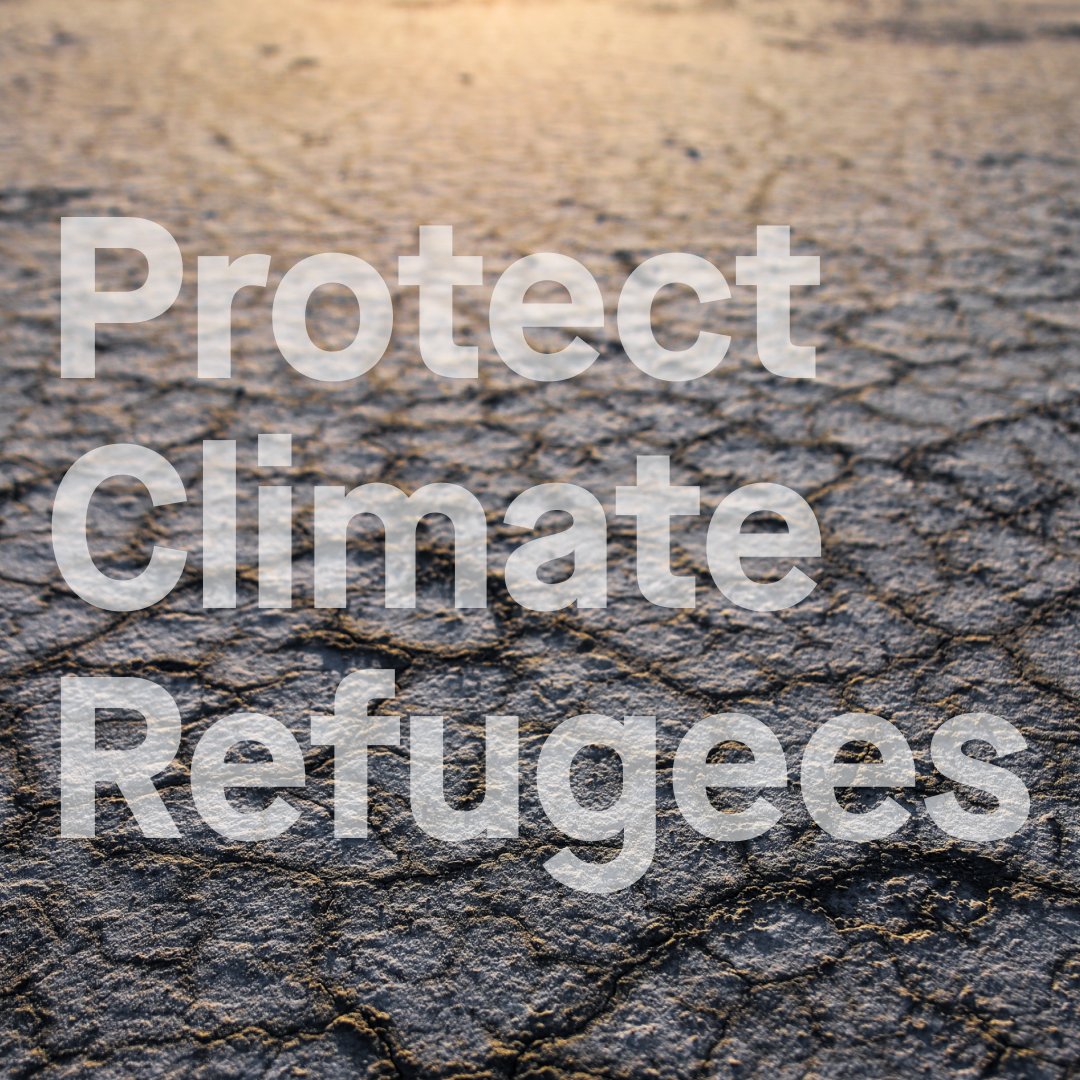 Green Wallet - Eco Shopping App tweet media