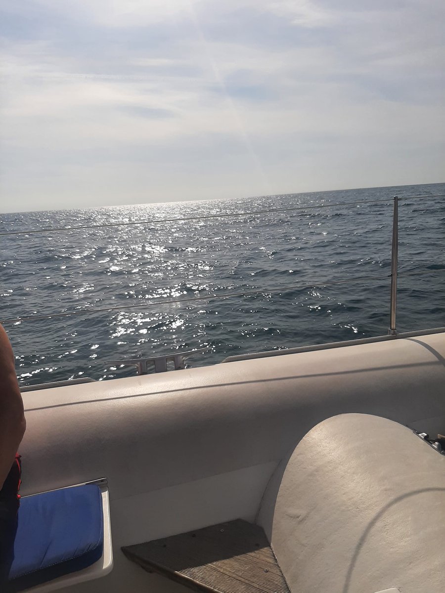 Mugshots tweet media